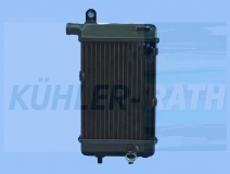 motorcycle radiator suitable for 8102952