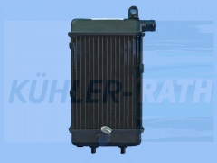 motorcycle radiator suitable for 8102951