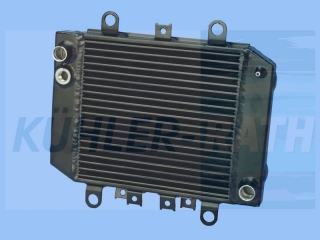 Wasserkhler passend fr Kawasaki