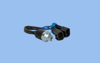 Druckschalter passend f�r Diavia